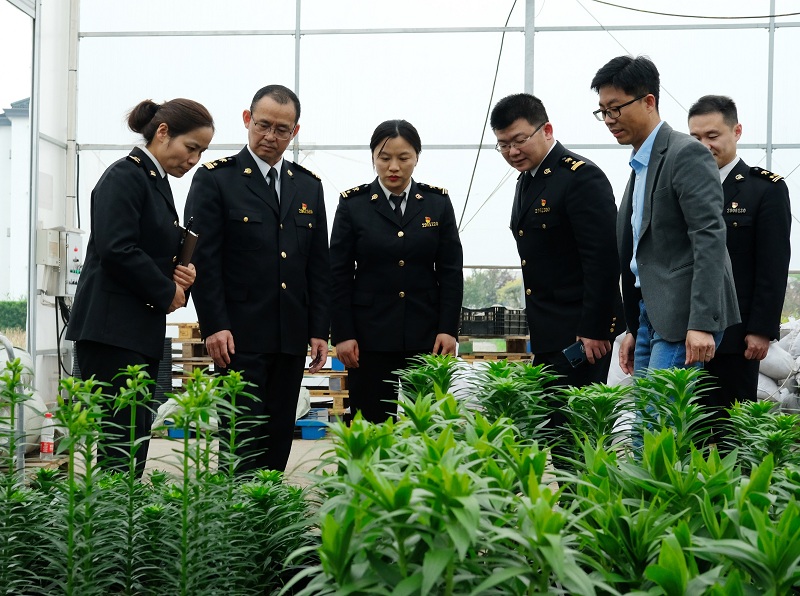 圖為：海關(guān)關(guān)員針對企業(yè)引進(jìn)國外種苗隔離檢疫的難點(diǎn)問題赴現(xiàn)場調(diào)研幫扶1+20210420張建成攝